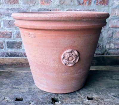 Caspo rosa torino - Kleiner Terracotta-Topf mit Rosette