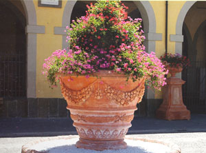 Riesiger bepflanzter Terracotta-Topf in Impruneta