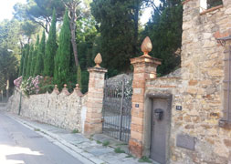 Straße in der Toscana