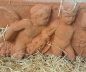 Preview: Fascia putti - Breites Terracotta-Wandbild mit Putten