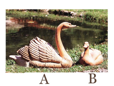 Cigno e Anatra - Terracotta-Schwan und Ente