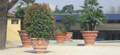 grosse bepflanzte Terracotta-Toepfe
