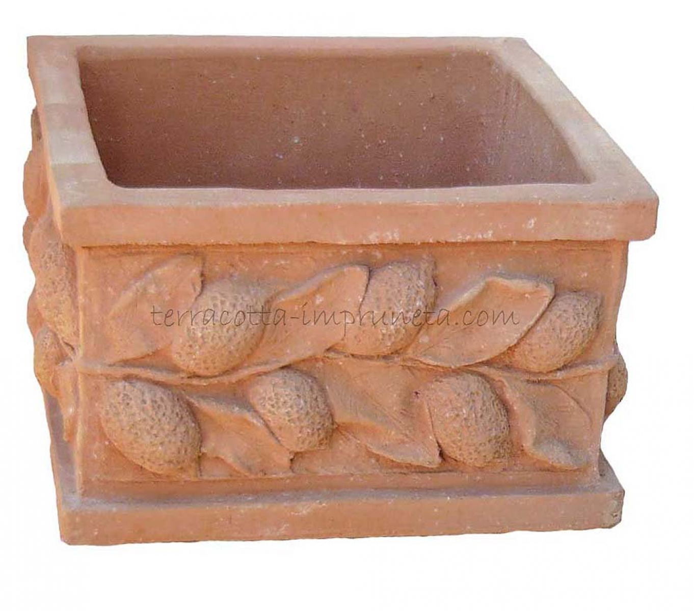 Terracotta-Blumenkasten mit Zitronen