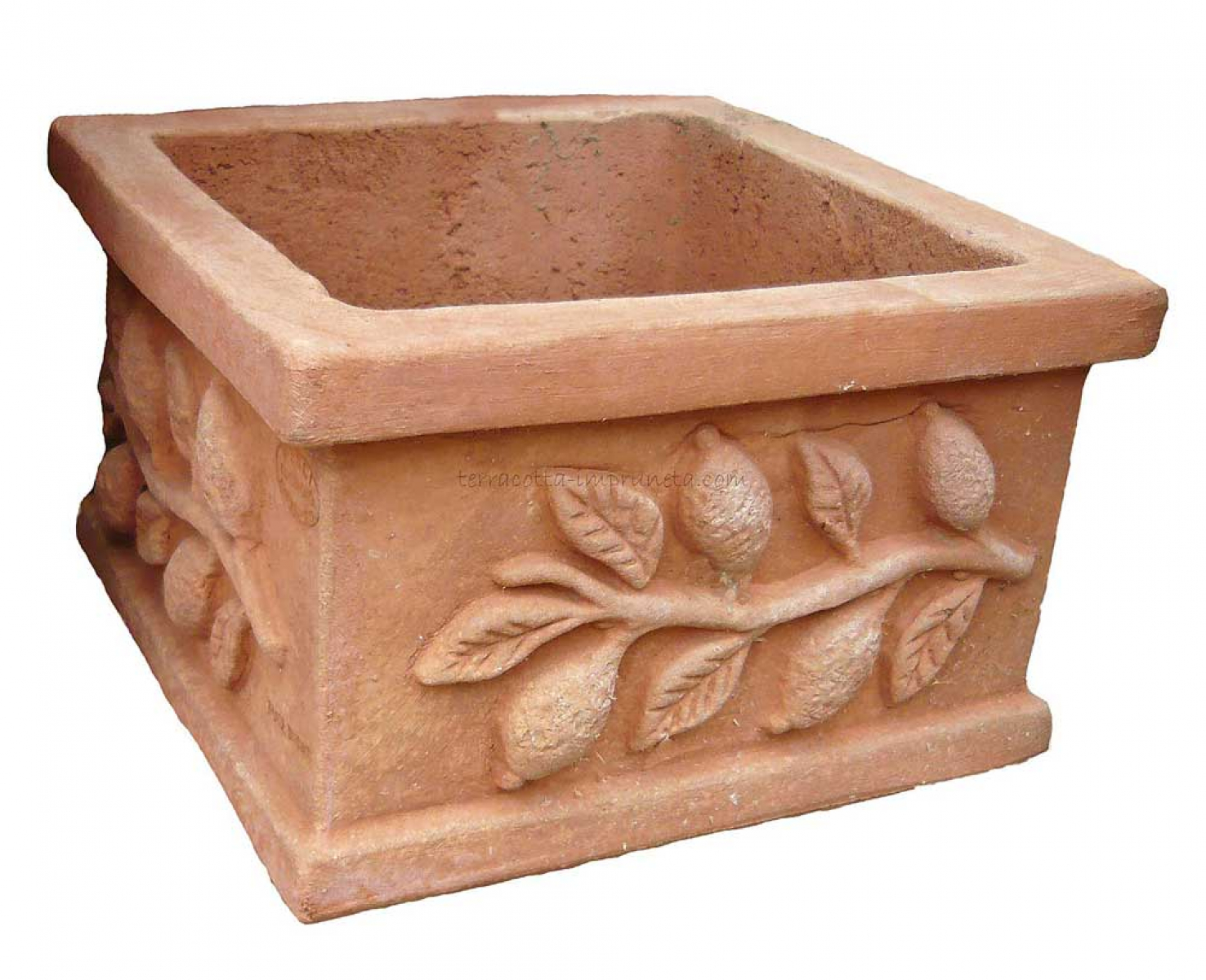 Terracotta Pflanzkasten mit Zitronen