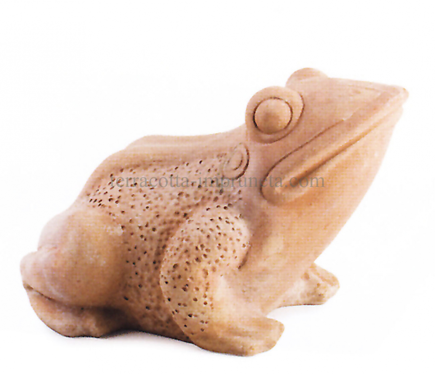 Terracotta-Frosch