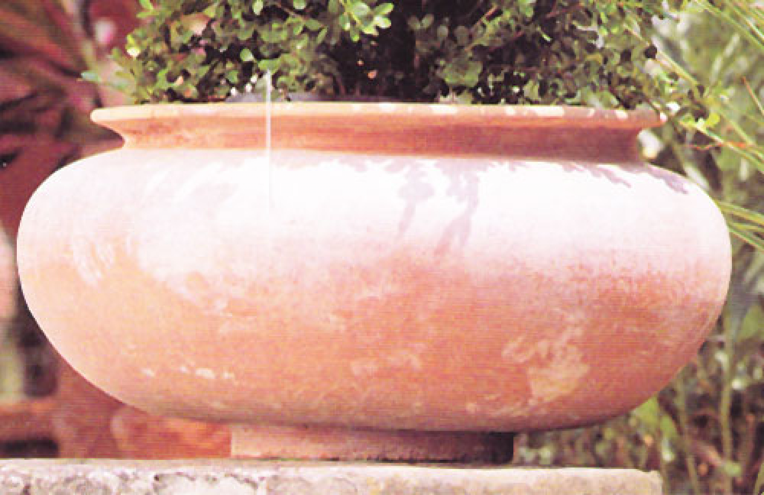 kugeliger bepflanzter Terracotta-Topf